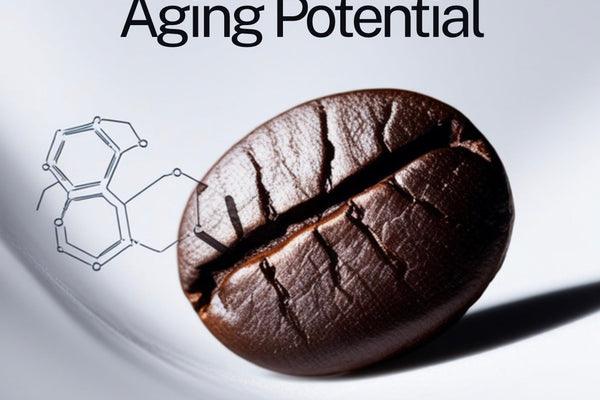 Coffee Activates Your Body's Anti-Aging System